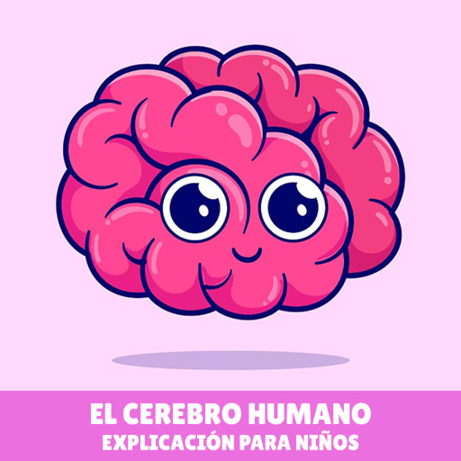 El Cerebro Humano: Explicación para Niños - catalyststuff para Freepik