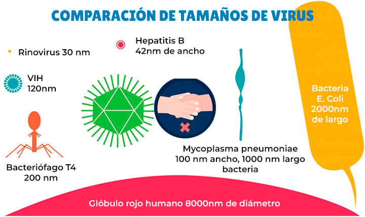 Comparación del tamaño de los virus - Modificación de Tristel.com