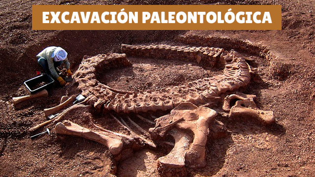 Excavación paleontológica