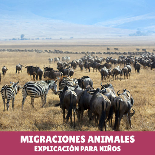 Migraciones Animales: Explicación para Niños - Wikimedia