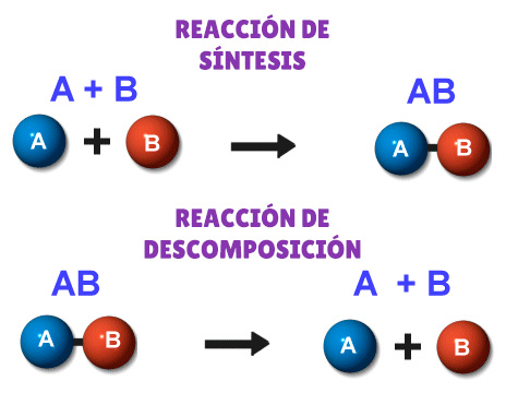 Tipos de reacciones químicas: síntesis y descomposición - Ducksters.com