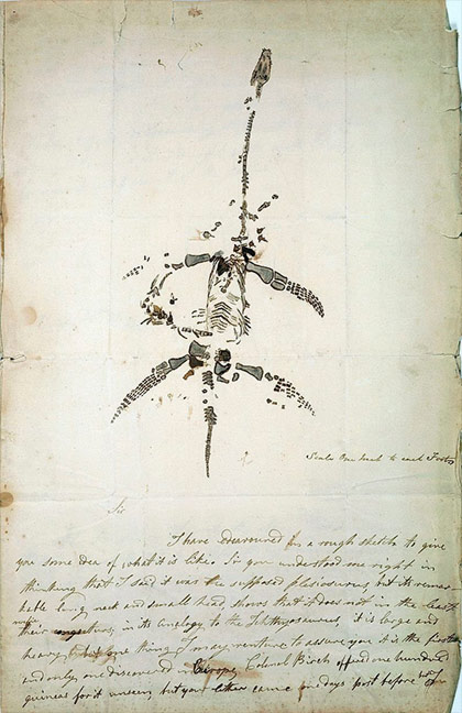 Carta de Mary Anning con un dibujo suyo de un plesiosaurio descubierto.