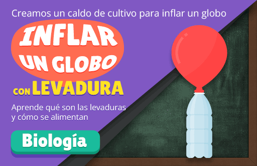 Proyecto de cultivo de levadura para llenar un globo con gas